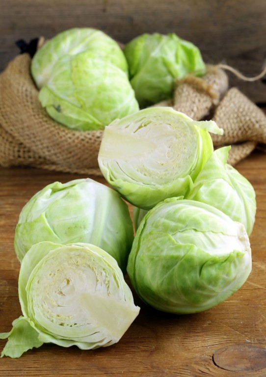 White Cabbage